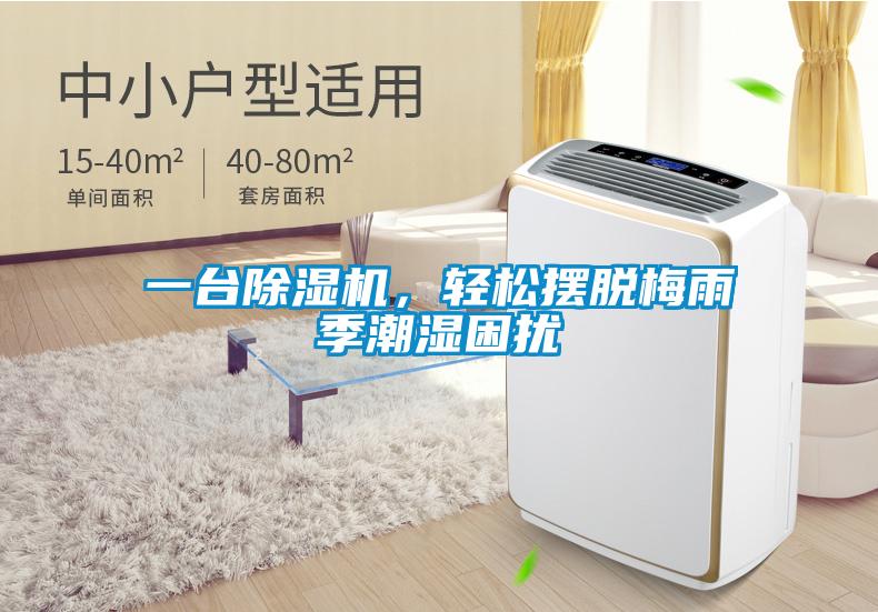 一台除湿机,轻松摆脱梅雨季潮湿困扰