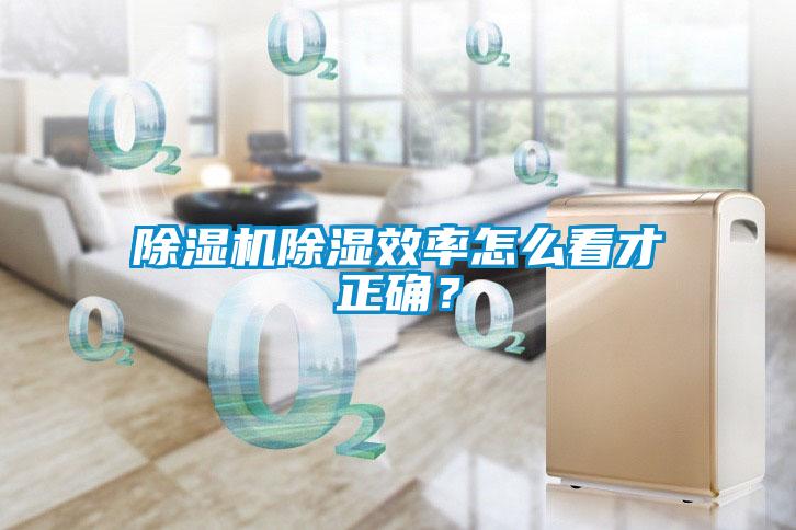 除湿机除湿效率怎么看才正确?