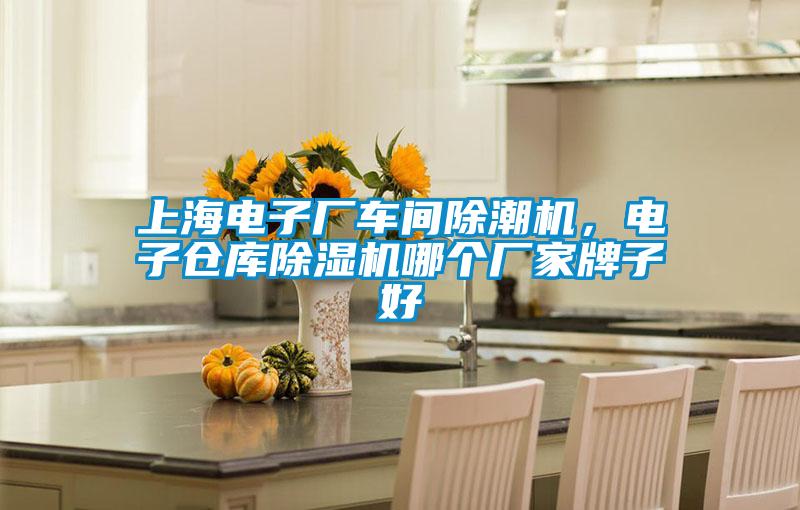 上海电子厂车间除潮机,电子仓库除湿机哪个厂家牌子好