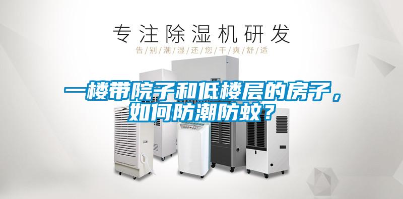 一楼带院子和低楼层的房子,如何防潮防蚊?