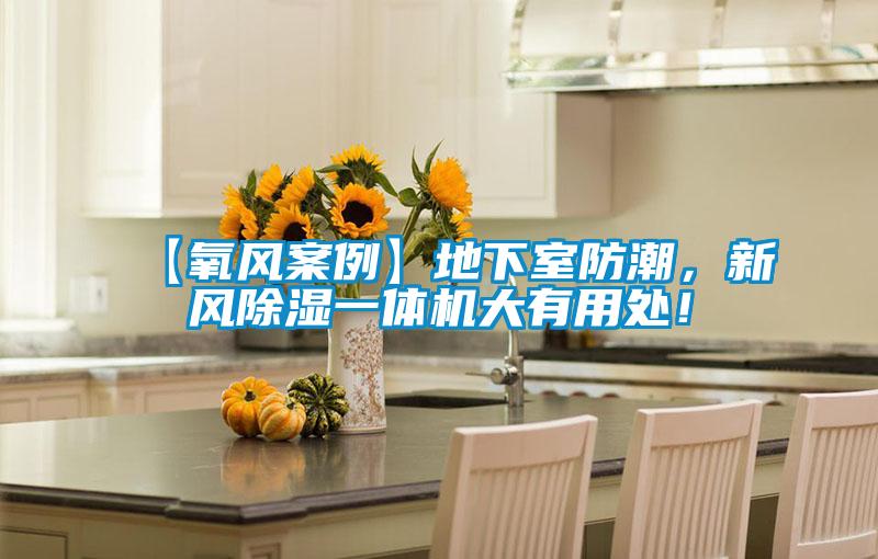 【氧风案例】地下室防潮,新风除湿一体机大有用处!