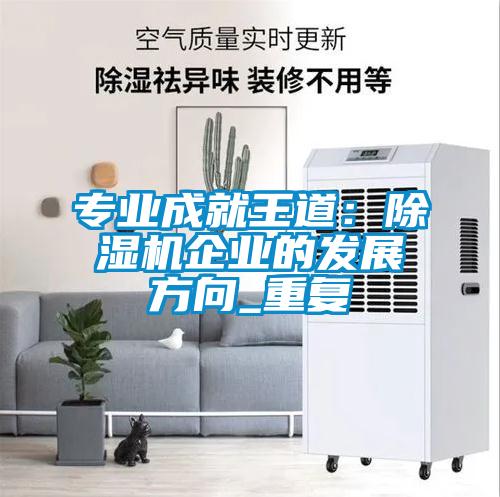 专业成就王道:除湿机企业的发展方向_重复
