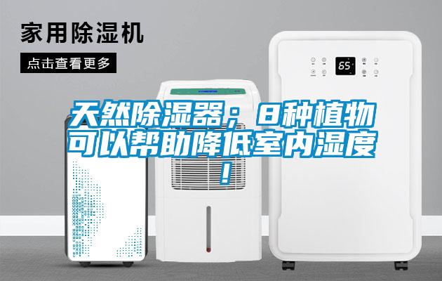 天然除湿器;8种植物可以帮助降低室内湿度!