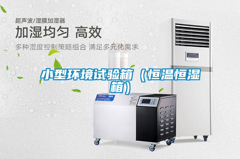 小型环境试验箱(恒温恒湿箱)