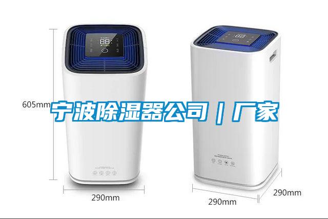 宁波除湿器公司|厂家