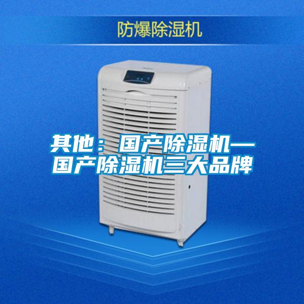 其他:国产除湿机—国产除湿机三大品牌