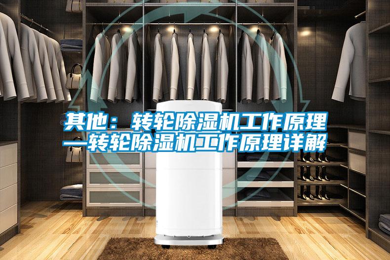 其他:转轮除湿机工作原理—转轮除湿机工作原理详解