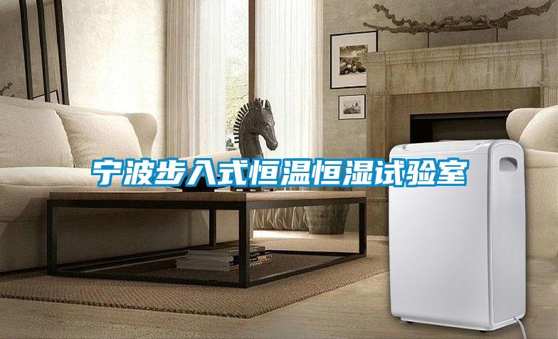 宁波步入式恒温恒湿试验室