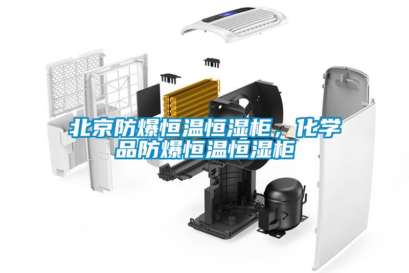 北京防爆恒温恒湿柜,化学品防爆恒温恒湿柜
