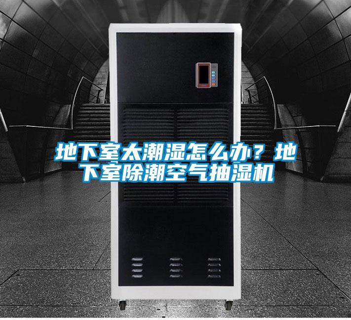 地下室太潮湿怎么办?地下室除潮空气抽湿机