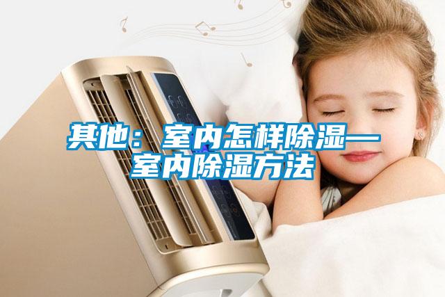 其他:室内怎样除湿—室内除湿方法