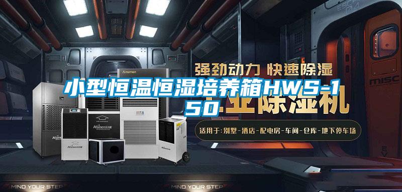 小型恒温恒湿培养箱HWS-150