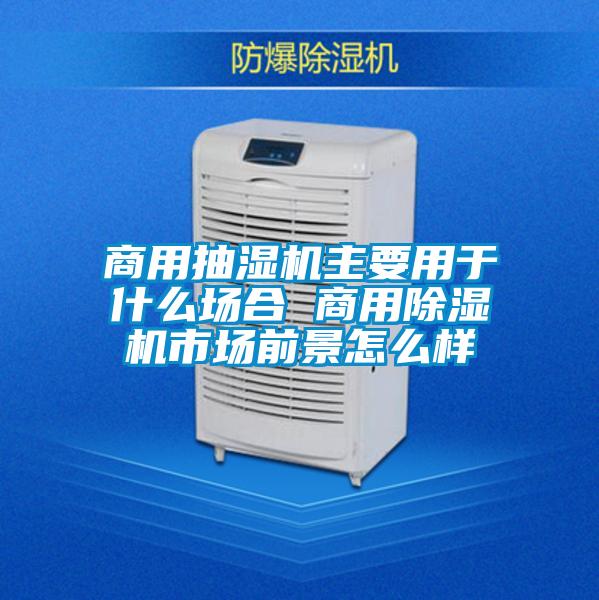 商用抽湿机主要用于什么场合 商用除湿机市场前景怎么样