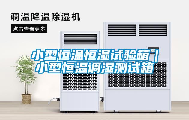 小型恒温恒湿试验箱|小型恒温调湿测试箱