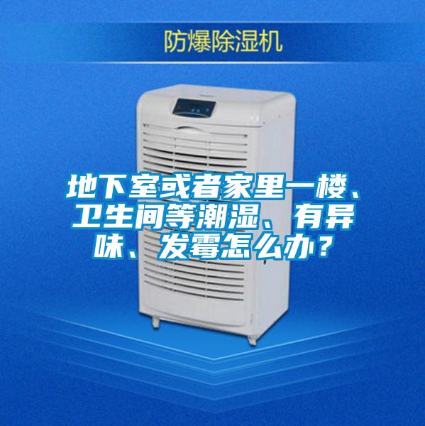 地下室或者家里一楼、卫生间等潮湿、有异味、发霉怎么办?