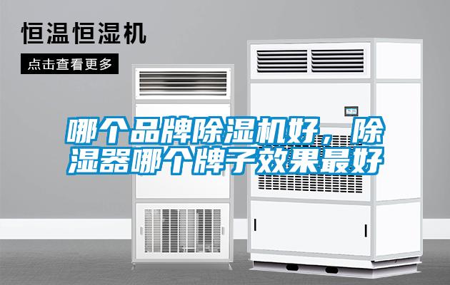 哪个品牌除湿机好,除湿器哪个牌子效果最好
