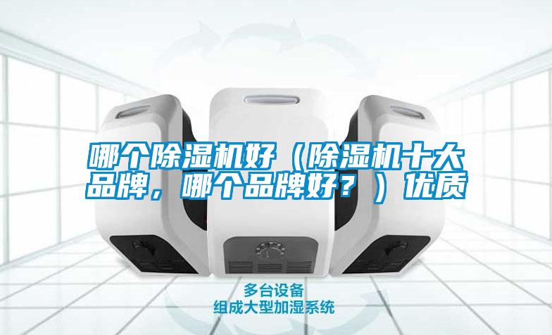 哪个除湿机好(除湿机十大品牌,哪个品牌好?)优质
