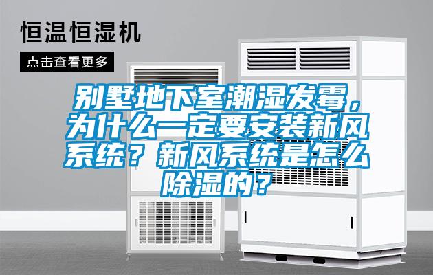 别墅地下室潮湿发霉,为什么一定要安装新风系统?新风系统是怎么除湿的?