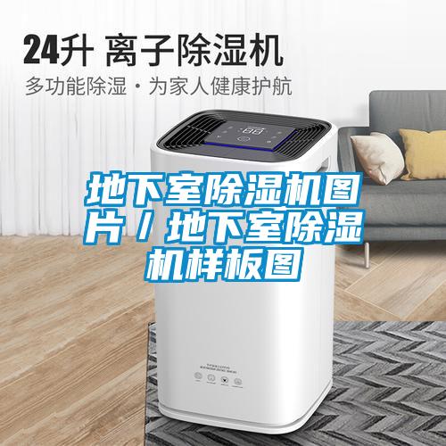 地下室除湿机图片/地下室除湿机样板图
