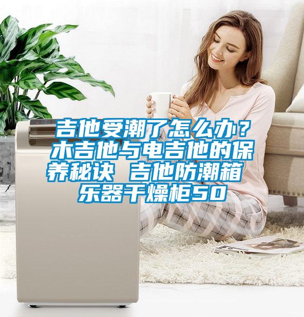 吉他受潮了怎么办?木吉他与电吉他的保养秘诀 吉他防潮箱 乐器干燥柜50