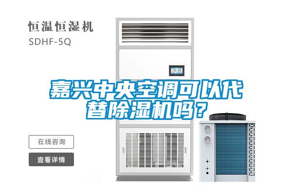 嘉兴中央空调可以代替除湿机吗?