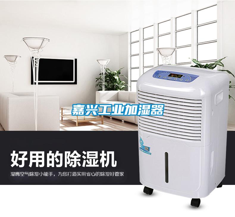 嘉兴工业加湿器