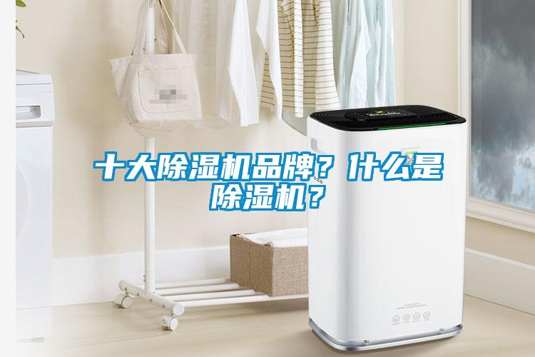 十大除湿机品牌?什么是除湿机?