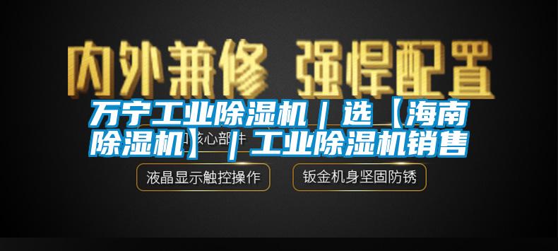万宁工业除湿机|选【海南除湿机】|工业除湿机销售