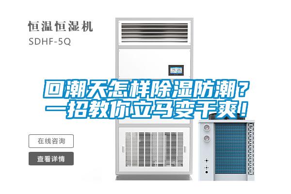 回潮天怎样除湿防潮?一招教你立马变干爽!