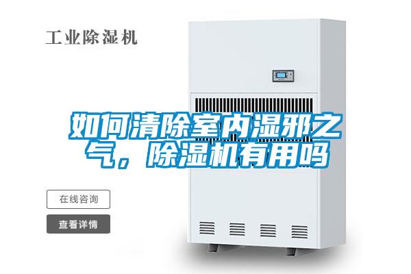 如何清除室内湿邪之气,除湿机有用吗
