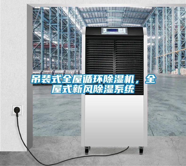 吊装式全屋循环除湿机,全屋式新风除湿系统