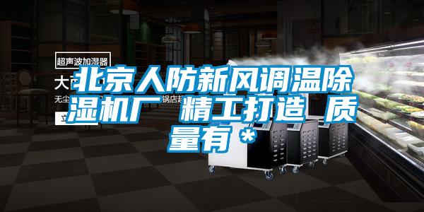 北京人防新风调温除湿机厂 精工打造 质量有*