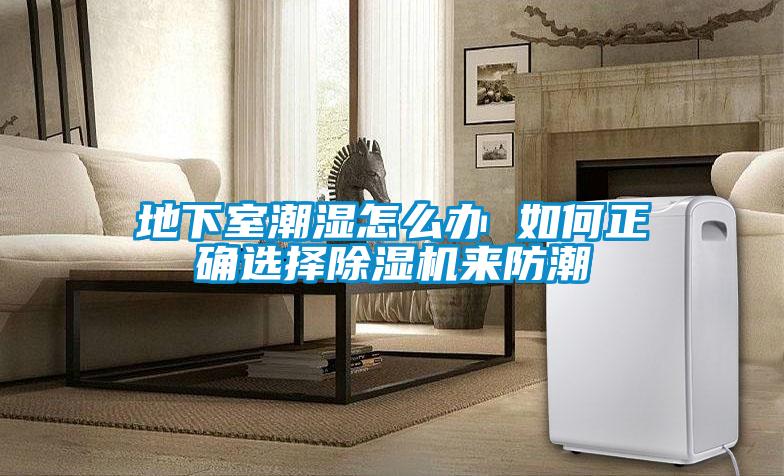 地下室潮湿怎么办 如何正确选择除湿机来防潮