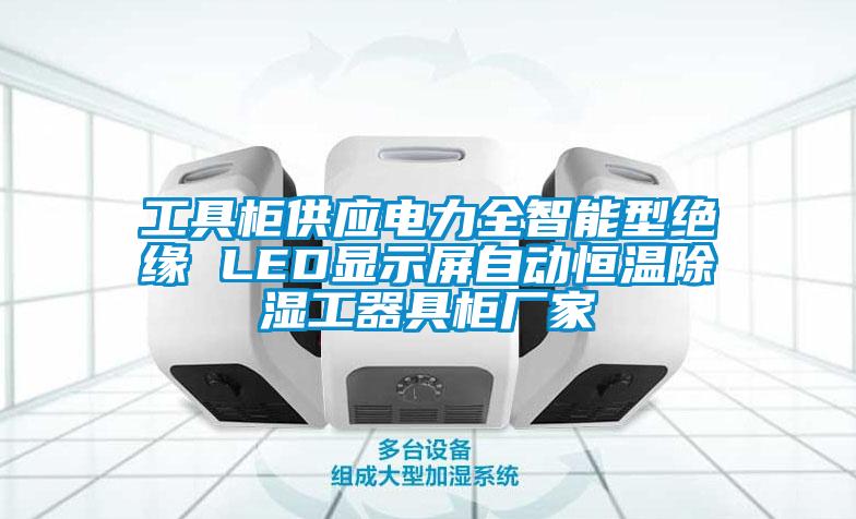 工具柜供应电力全智能型绝缘 LED显示屏自动恒温除湿工器具柜厂家