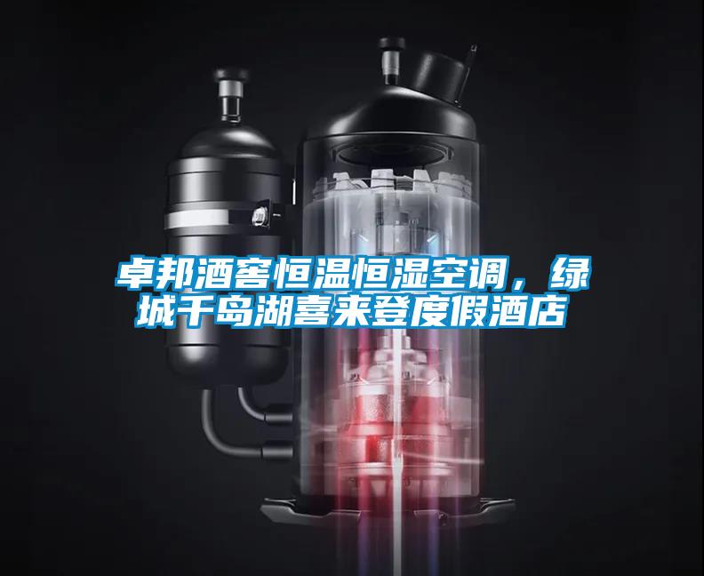 卓邦酒窖恒温恒湿空调,绿城千岛湖喜来登度假酒店