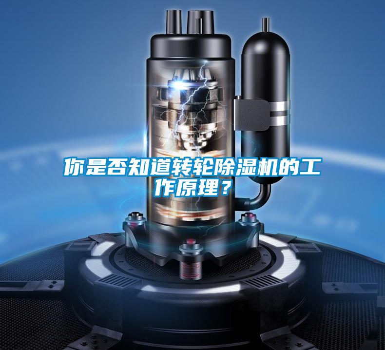 你是否知道转轮除湿机的工作原理?