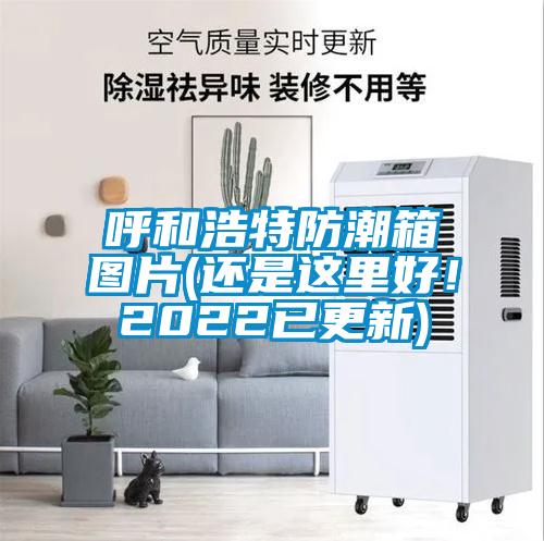 呼和浩特防潮箱图片(还是这里好!2022已更新)
