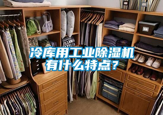 冷库用工业除湿机有什么特点?