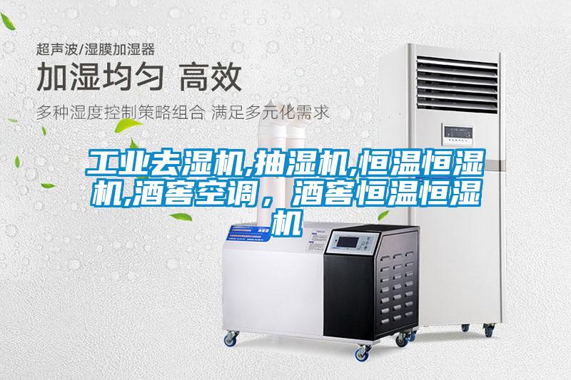 工业去湿机,抽湿机,恒温恒湿机,酒窖空调,酒窖恒温恒湿机