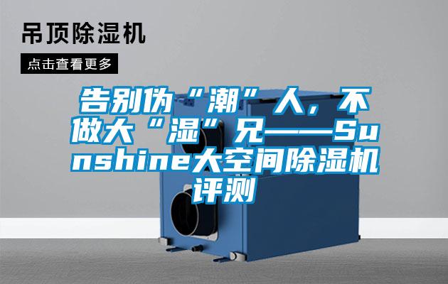 告别伪“潮”人,不做大“湿”兄——Sunshine大空间除湿机评测