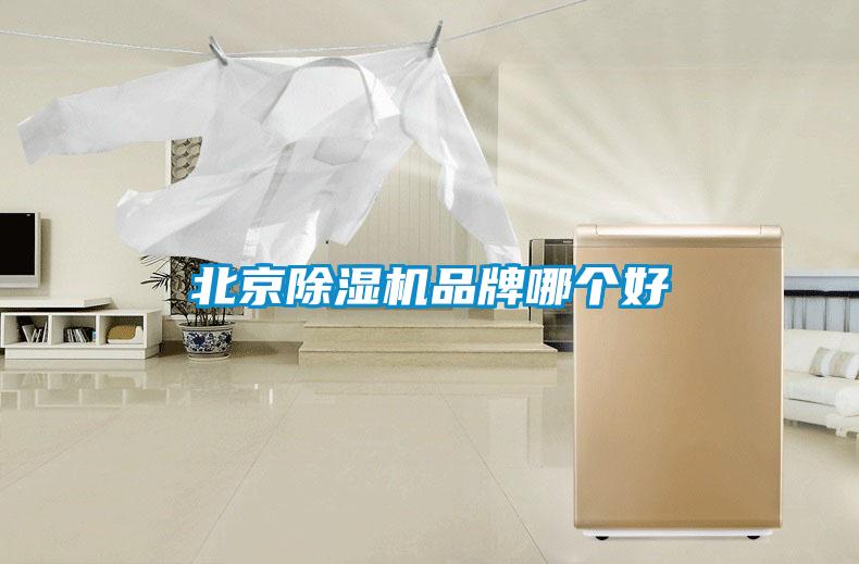 北京除湿机品牌哪个好