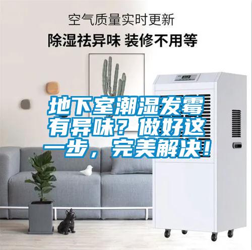 地下室潮湿发霉有异味?做好这一步,完美解决!