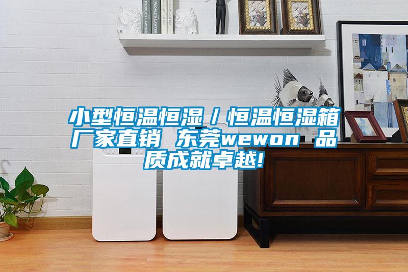 小型恒温恒湿/恒温恒湿箱厂家直销 东莞wewon 品质成就卓越!
