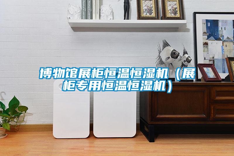 博物馆展柜恒温恒湿机(展柜专用恒温恒湿机)
