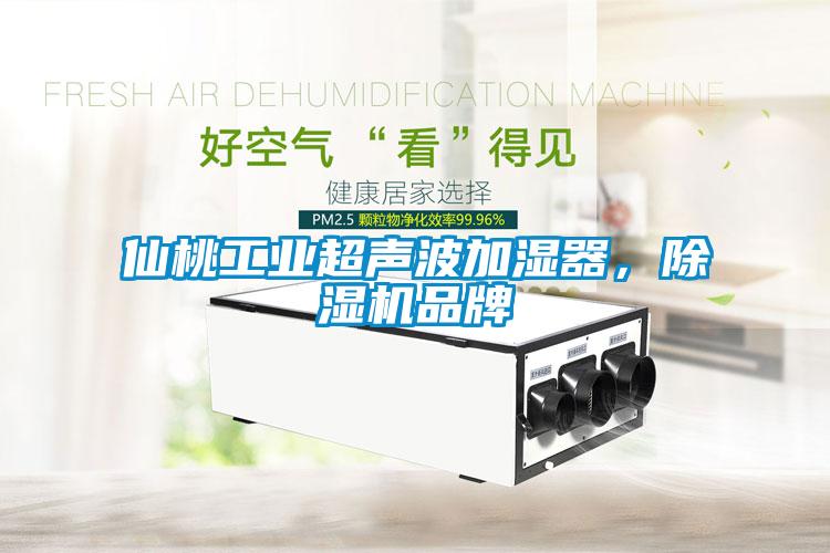 仙桃工业超声波加湿器,除湿机品牌