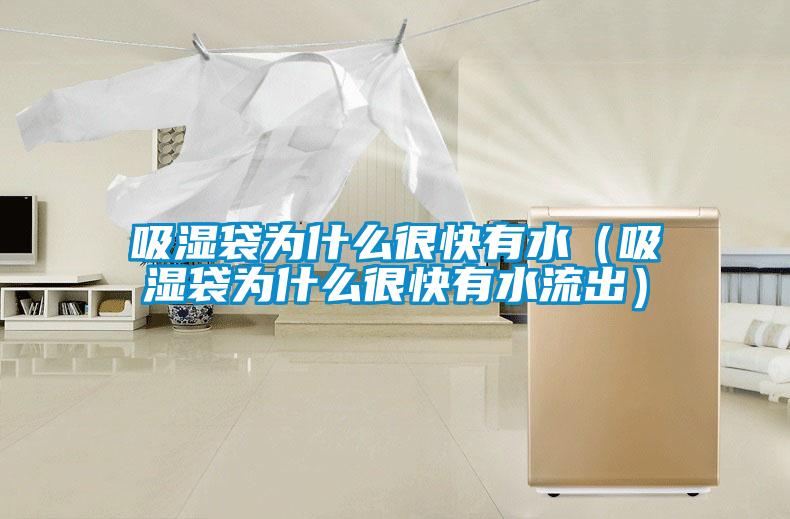 吸湿袋为什么很快有水(吸湿袋为什么很快有水流出)