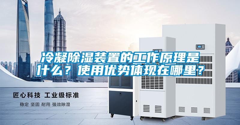 冷凝除湿装置的工作原理是什么?使用优势体现在哪里?