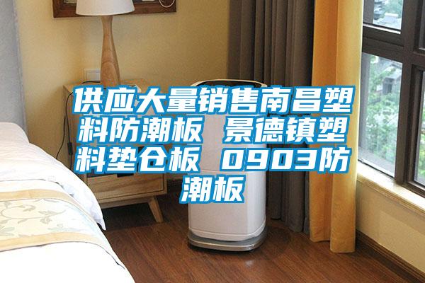 供应大量销售南昌塑料防潮板 景德镇塑料垫仓板 0903防潮板