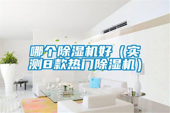 哪个除湿机好(实测8款热门除湿机)