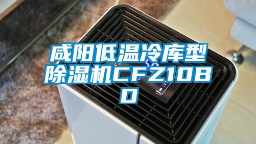 咸阳低温冷库型除湿机CFZ10BD